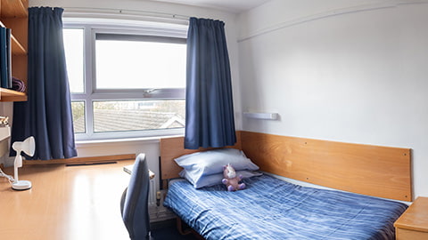 A standard bedroom in Rutherford with a large study desk, single bed and wash basin