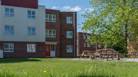 A sunny exterior view of Telford accommodation buildings, featuring multi‑storey red‑brick and cream‑rendered blocks. In the foreground is a large grassy area with wooden picnic benches, trees, and pathways under a bright blue sky.