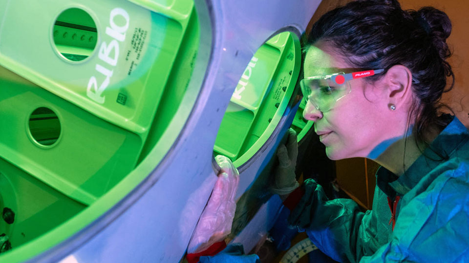 A student in blue protective clothing looking into apparatus bathed in green light.
