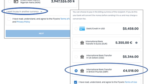 Selecting payment method page where the user can choose to pay in another currency and select the International bank transfer in British Pounds (GBP) options