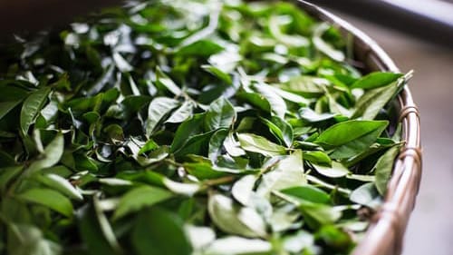Tea leaves