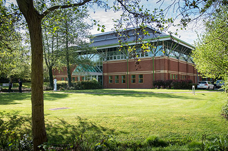 Tree in foreground with a large lawn and Holywell Building