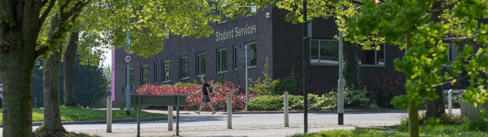 Bridgeman Building seen between tree foliage in the spring.