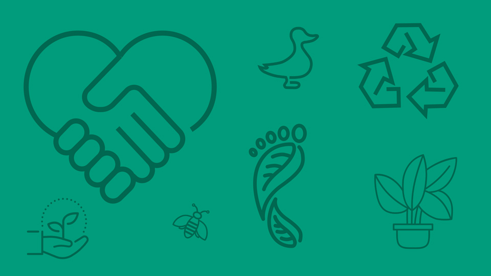 Green background with sustainability related icons