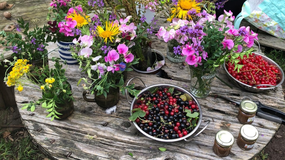 Collected fruit, wild flowers and honey