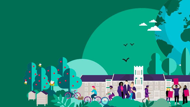 Graphic representation of a green university campus