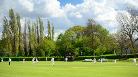 Brockington Cricket Pitch
