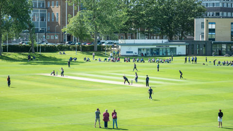 Brockington Cricket Pitch