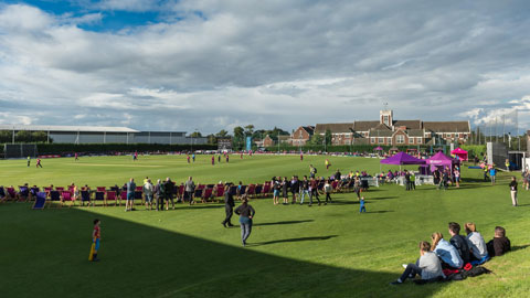 Hazlegrave Cricket Pitch