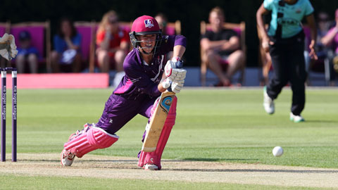Hazlegrave Cricket Pitch