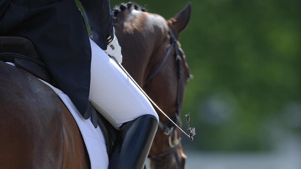 A person wearing riding gear on a brown horse