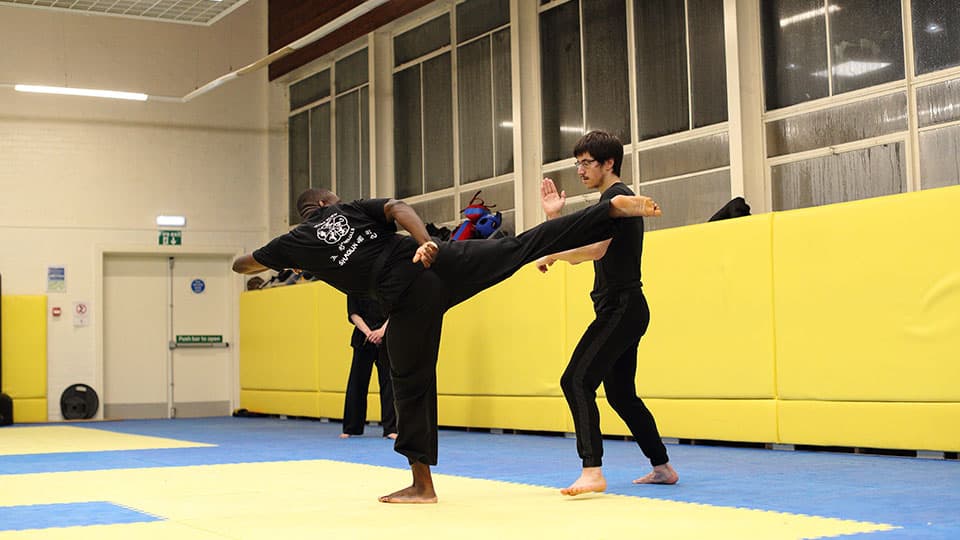 people taking part in a Kung Fu session