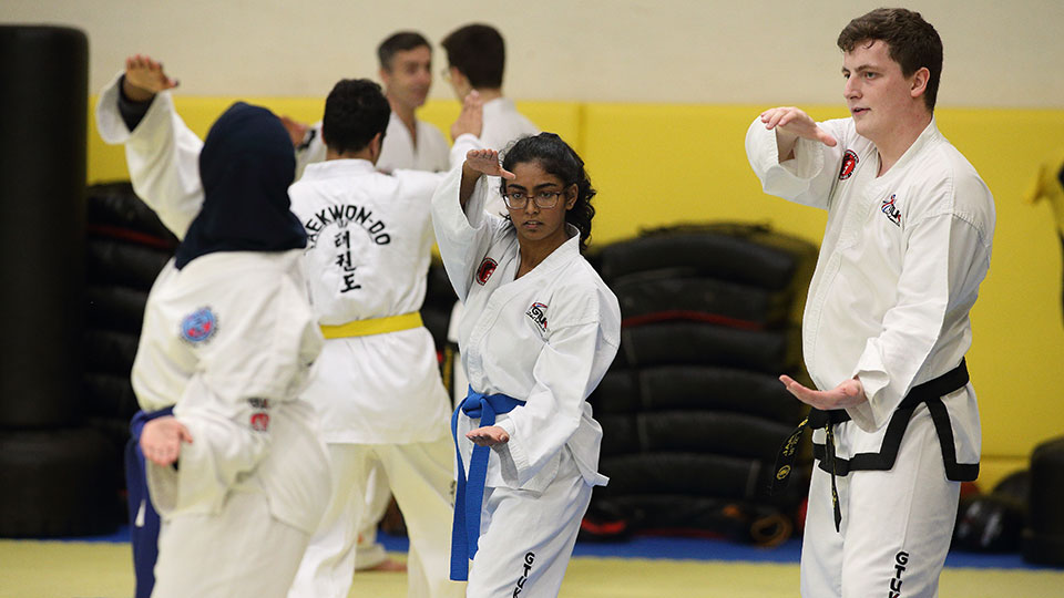 A taekwondo training session in progress. Students are wearing doboks and demonstrating taekwondo stances