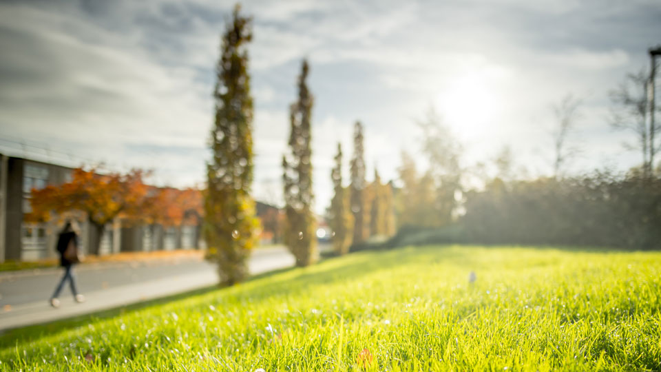 a person walking along a road