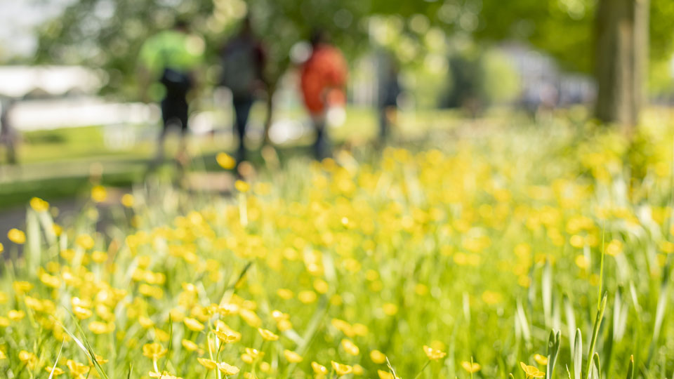 three figures in the distance