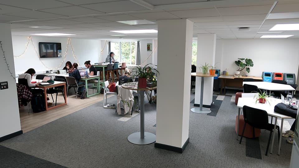 Martin Hall MHL118 - open plan study space with multiple seating and desk options, and plants.