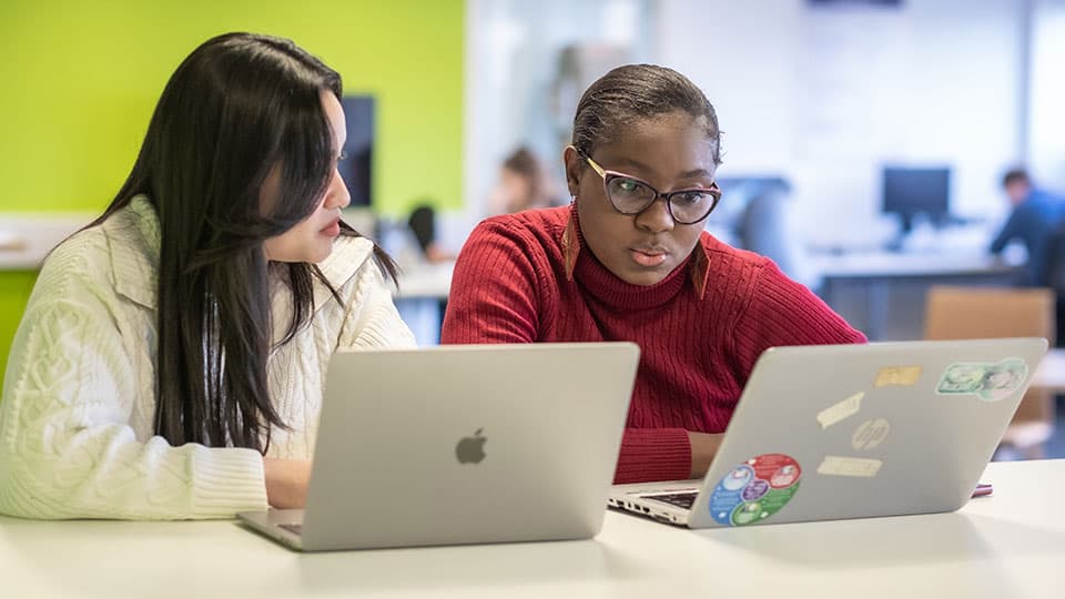 two students sitting side by side using laptops