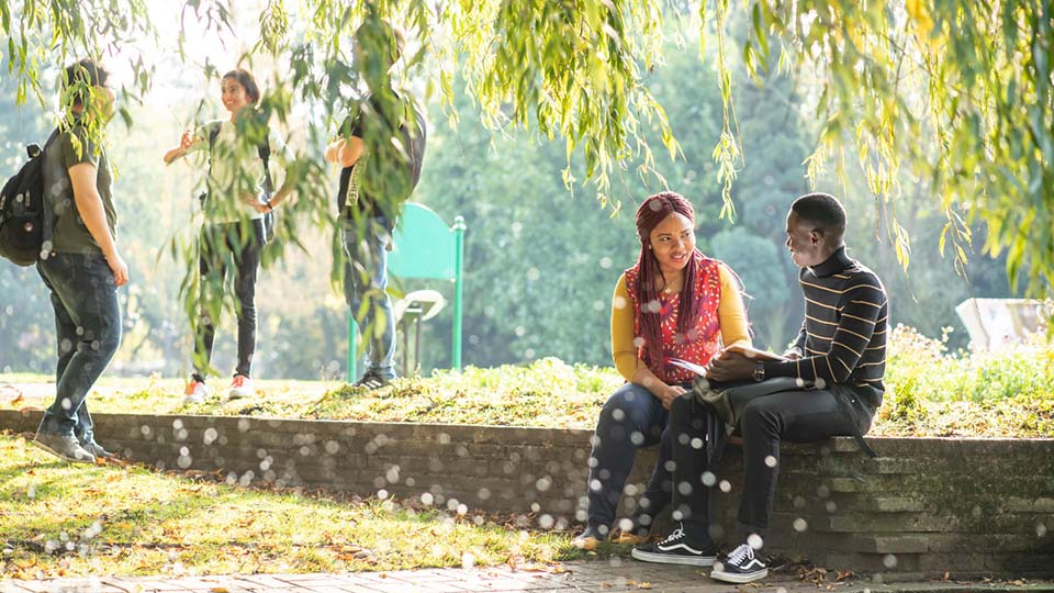 five students outside under a tree, three standing, two sitting down