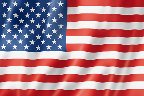 Flag of the USA