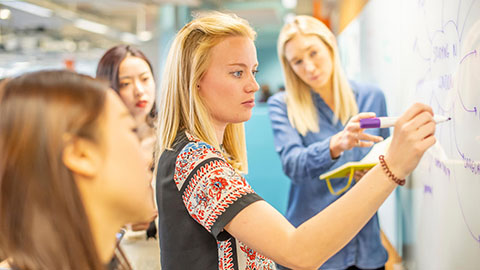 A group of students looking at a whiteboard and writing on it