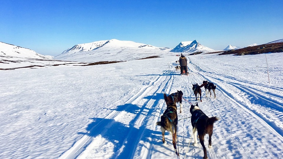 Dogs pulling a sled in the snow with mountains covered in snow in the background. 