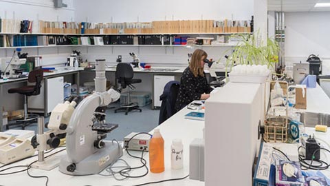 Environmental change laboratory