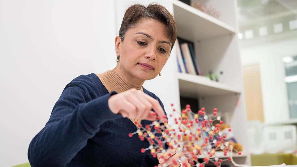 a lecturer with a scientific model