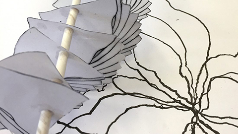 Aaron Castillo Project