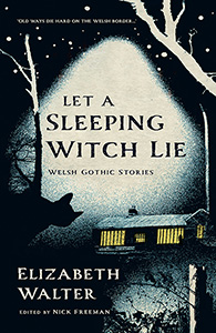 Book cover - Let a Sleeping Witch Lie