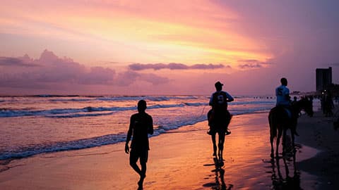 people walking on a beach at sunset
