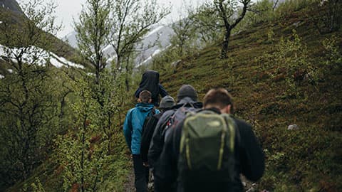 a group of people walking through a wooded landscape