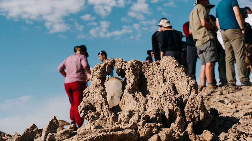 a group of people standing in a rocky landscape