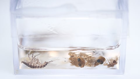 Ecohydrology experimental apparatus - Atish Vadher, Postgraduate Researcher