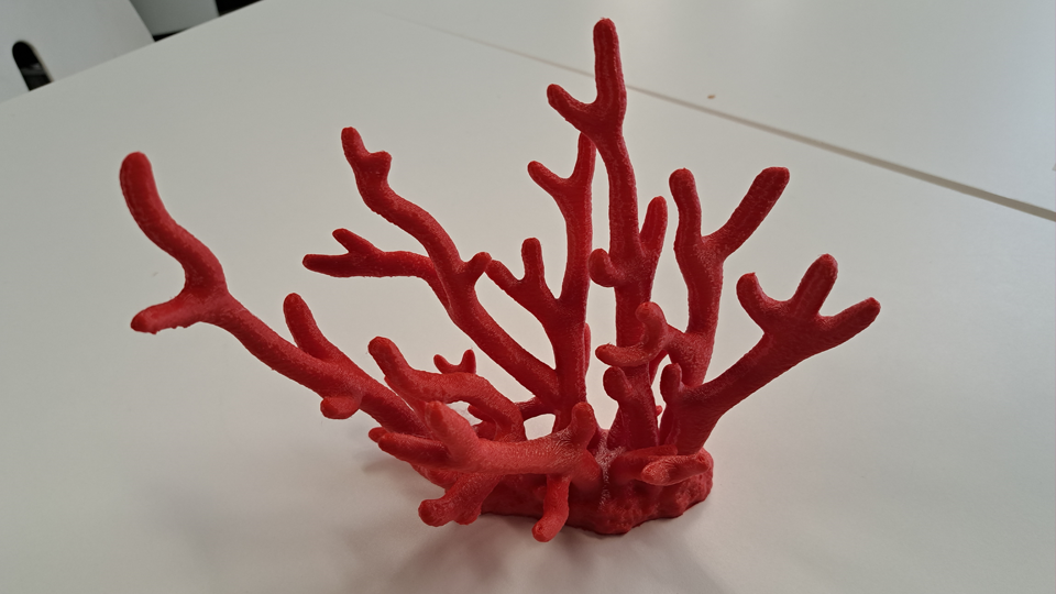 3D Printed Coral Reef