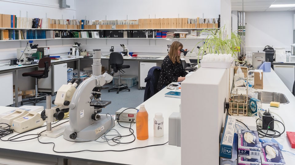 a researcher working in the Environmental Change Laboratory