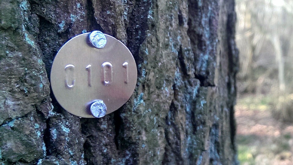 a close up of a tree identification disc