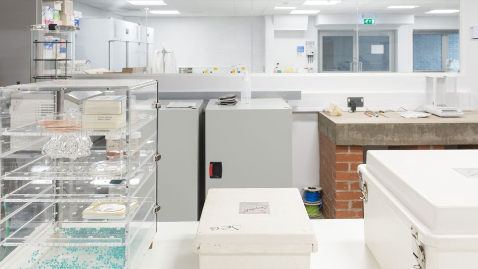 a view into a laboratory