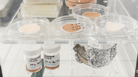 dishes in the Sediment, Soils and Ecology Laboratories