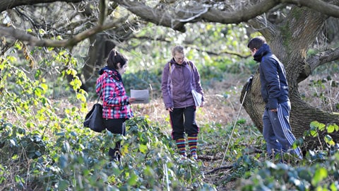 three people standing next to an ancient tree