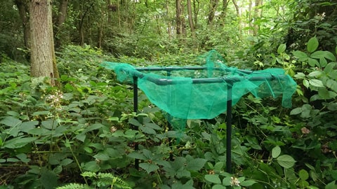 equipment used in the Loughborough University Research Forest