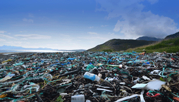 A beach on the isle of skye covered in litter