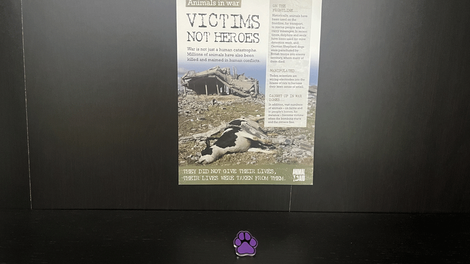 a purple paw-shaped metal pin badge