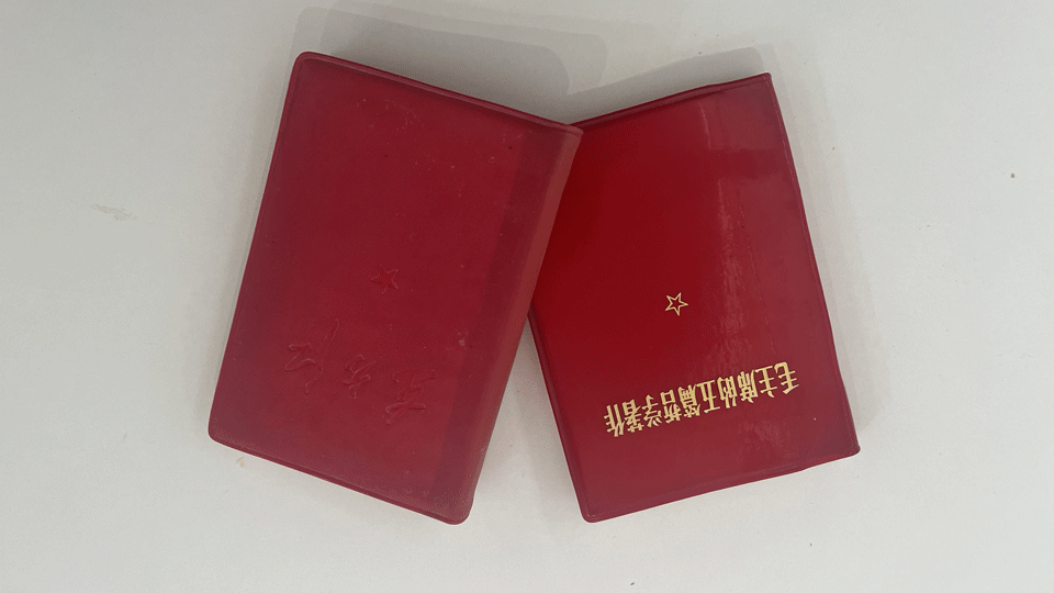 two small red books