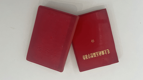 two small red books