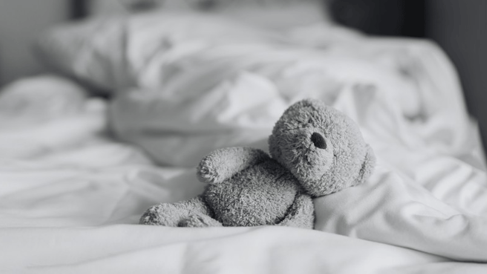 black and white photo of a teddy bear