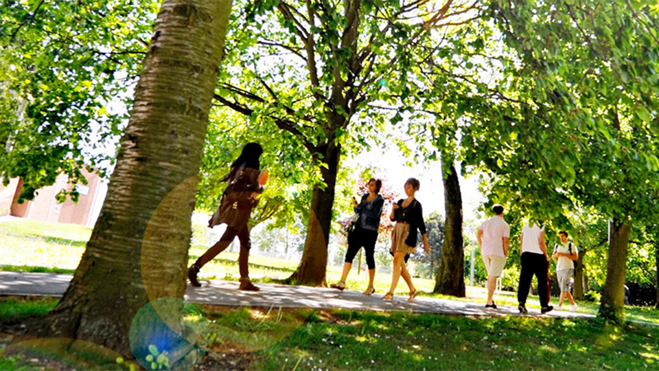 Students walking on campus