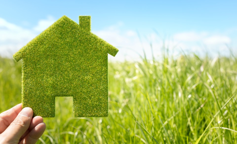 Green home cut out in front of grass