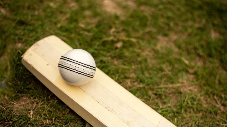 a white cricket ball placed on a cricket bat