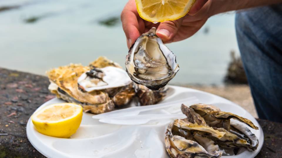 a tray of oysters